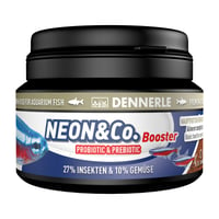 Dennerle Neon & Co Booster aliment de base pour petits poissons d'ornement