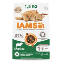 IAMS Advanced Nutrition croquettes pour chat adulte à l'agneau