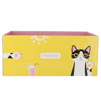 Griffoir pour chat en carton DIY Zolia TropiCat Eté