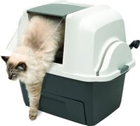 Casa di toilette auto pulente Cat It Smartsift 