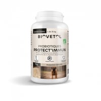 BIOVETOL Poudre Protect'Immun bio para perro grande