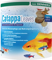 Catappa Leaves - Seemandelbaumblätter –