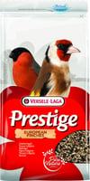 European finches Prestige Oiseaux européens
