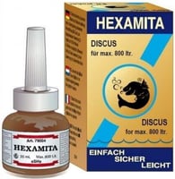 eSHa Hexamita Enfermedad de los agujeros en la cabeza discos y cíclidos