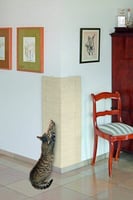 Arranhador para gato em sisal