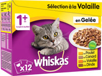 Pack de 12 Comida húmeda WHISKAS 1+ Selección Aves de Corral en gelatina para gatos adultos - 4 savores