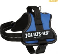 Geschirr Power Julius-K9 in blau