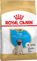 Royal Canin Breed Pug Junior für Möpse