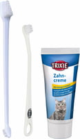 Conjunto de higiene dental com escovas e dentífrico