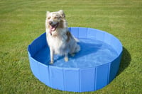 Grande piscina para cão ZOLIA Zolia Oceadog - 120 cm