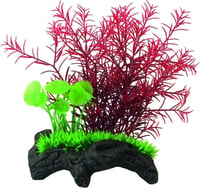 SuperFish Nano Wood Garden - Mini Jardin Aquatique - 3 modèles