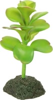 Plante pour terrarium Exotica REPTIL'US - 6 pouces