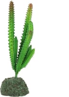 Plante pour terrarium Desertica REPTIL'US - 8 pouces