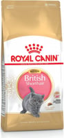 Royal Canin Kitten Brithish Shorthair para gatitos