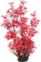 Künstliche rote Pflanze mit feine Blättern