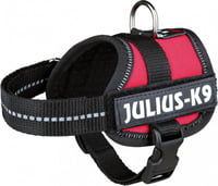 JULIUS K9 Arnês K9-Power Cor-de-vinho, Baby 1 para pequenos cães ou cachorros