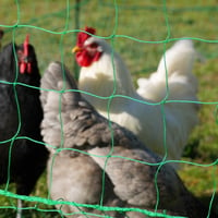 Zolia Geflügelnetz für Hühner, nicht elektrifizierbar, 25 (…)