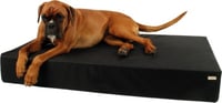 ZOLIA Naya Materasso per cane Nero idrorepellente - 110cm - Maxi spessore