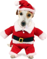 Costume da Babbo Natale per cani Zolia
