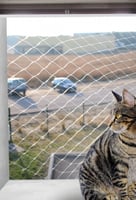 Rete di protezione trasparente per gatti Zolia Angel - 3 taglie disponibili