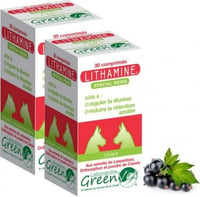 GREEN VET Lithamine Cane & Gatto per il Conforto Renale