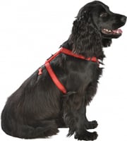 Klassiche Safe BOBBY Hundegeschirr - Reflektierend - Schwarz oder Rot