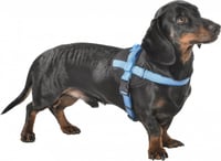 Pettorina Easy Safe per cani BOBBY Blu - riflettente