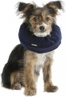 Schutzhalsband für Hund -Kerbl