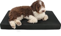 Colchón ortopédico memory foam Romeo Zolia para perros - 2 tamaños disponibles