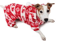 Jersey para perros Pijama de invierno Zolia