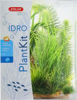 Sortiment von 6 Kunstpflanzen Plantkit IDRO - N°3