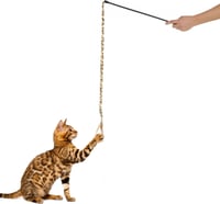 Canne à pêche Léopard pour chat Zolia - , 135 cm