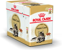 ROYAL CANIN Mousse para gatos Maine Coon adultos
