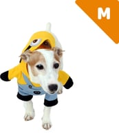 gelber Gehilfe Verkleidung für Hunde Zolia Festive