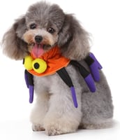 Coleira Halloween Aranha Zolia para cão