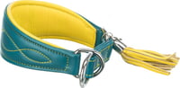 Halsband voor windhonden, blauw/geel