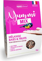 HAMIFORM Yummi Mix - Beeren-Obst-Mix für Wildvögel