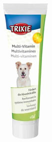 Pâte multivitaminée pour chien