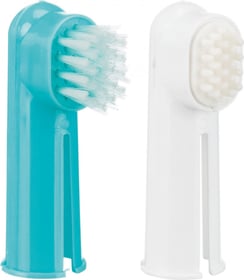 Set brosses à dents