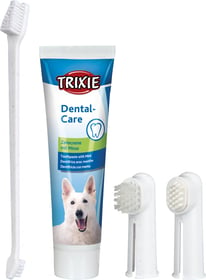 Set hygiène dentaire pour chien