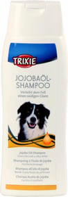 Shampoing à l'huile de jojoba