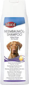 Shampoing à l'huile de Neem