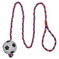 Ballon de football sur une corde