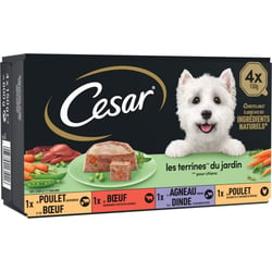 CESAR Les terrines du jardin pour chien adulte - 4x150g