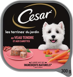 CESAR Les Terrines Classiques - Inspirations du Jardin pâtée pour chien adulte - plusieurs saveurs disponibles