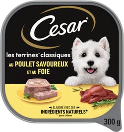 CESAR Les Terrines classiques pour chien adulte - 1x300g