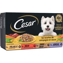 CESAR Les recettes de Campagne pâtée pour chien adulte en sauce barquettes 4 variétés