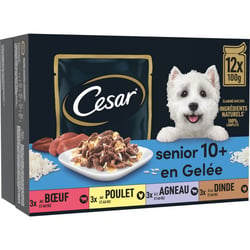 CESAR Senior 10+ Délices en Sachets Fraîcheur en Gelée pour chien Senior - 12 x 100g