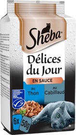 SHEBA Fresh & Fine mit Thunfisch und Kalejau für Katzen