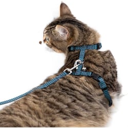 Set Harnais et laisse pour chat - 2 tailles